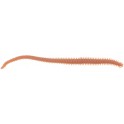 GULP ALIVE HLFP NEREIS carplus  6'' NATURAL 