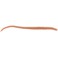 GULP ALIVE HLFP NEREIS carplus  6'' NATURAL 