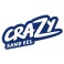 LEURRE FIIISH 3 corps Vert Nacré CRAZY SAND EEL 150 CSE150