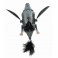 LEURRE SAVAGEAR 3D BAT 10 CM 28GRS GREY ---ndd