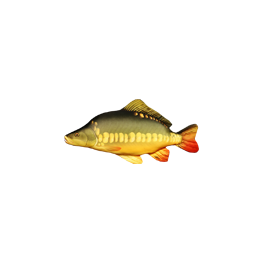 COUSSIN PELUCHE POISSON CARPE MIROIR 61 CM COUSSIN PELUCHE POISSON CARPE MIROIR 61 CM