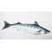 COUSSIN PELUCHE POISSON MAQUEREAU 60 CM