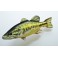 COUSSIN PELUCHE POISSON BLACK BASS 67 CM