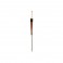 FLOTTEUR WATER QUEEN sachet de 2 X MONTJOIE 0.30 G F1272  