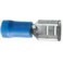 10 COSSES CLIP BLEU FEMELLE