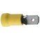 10 COSSES 6.3 ISO.JAUNE MALE 