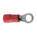 10 COSSES OEILLET D.4 ROUGE 