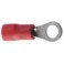 10 COSSES OEILLET D.4 ROUGE 
