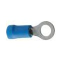 10 COSSES OEILLET D.6 BLEU 