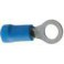 10 COSSES OEILLET D.6 BLEU 
