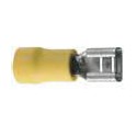 10 COSSES CLIP 6.3 JAUNE FEM  