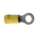 10 COSSES OEILLET D.6 JAUNE  