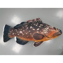 COUSSIN PELUCHE POISSON MEROU 100 CM