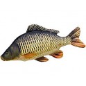 COUSSIN PELUCHE POISSON CARPE COMMUNE 64 CM