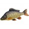 COUSSIN PELUCHE POISSON CARPE COMMUNE 64 CM
