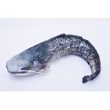 COUSSIN PELUCHE POISSON SILURE 115 CM