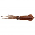 LEURRE SAVAGEAR 3D TPE SWIM SQUID 188mm 63g Brown UV