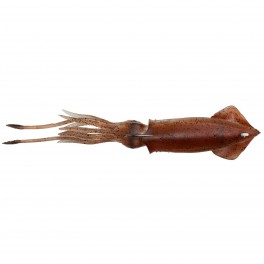 LEURRE SAVAGEAR 3D TPE SWIM SQUID 188mm 63g Brown UV LEURRE SAVAGEAR 3D TPE SWIM SQUID 188mm 63g Brown UV