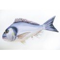 COUSSIN PELUCHE POISSON DORADE 60 CM - GILTHEAD SEA BREAM