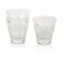 LOT DE 6 VERRES SAINT BARTH EN TITAN INCASSABLES