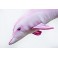 COUSSIN PELUCHE POISSON DAUPHINE ROSE 125 CM