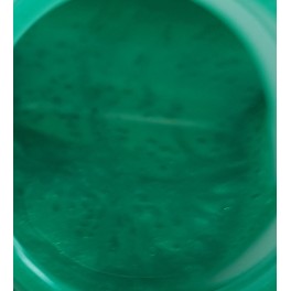 Peinture leure - IRISE VERT 60 ml pour aérographe AERO619
