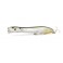 LEURRE XORUS POPCHINKO 140 GHOST LANCON