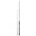 CANNE DAIWA POWERMESH TENYA 242H