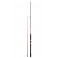 CANNE DAIWA POWERMESH TENYA 242H