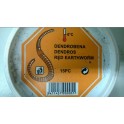 VERS TERREAU MOYEN APPAT BOITE 