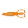 PINCE A VIVE OU ANGUILLE PLASTIQUE - FLASHMER