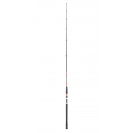CANNE MEGAFORCE BF 353 XXXH 2M40 - 250/500GRS