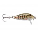 LEURRE RAPALA COUNTDOWN CD05 GJTR - Gold Juvenile Trout ---NDD