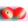 PERLES YUKI FLOTTANTES RONDES 04 13mm