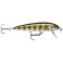 LEURRE RAPALA COUNTDOWN CD09 PEL - Live Perch ---ndd