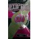 Amorce Mainline Pro-Active Bag Stick Mix Cell 1 kg