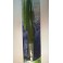 LEURRE FLASHMER BLUE EQUILLE 55 g - AYU (218)