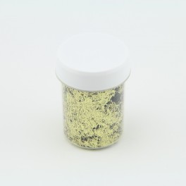 Paillettes Batonnet Or - 3x0,25mm - 40ml pour plastique liquide - PLSPAI429 Paillettes Batonnet Or - 3x0,25mm - 40ml pour plastique liquide - PLSPAI429