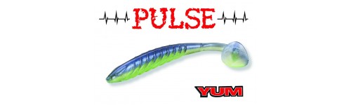 LEURRE YUM PULSE