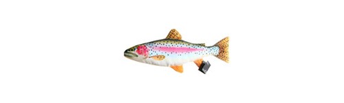 Coussin Peluche Poisson