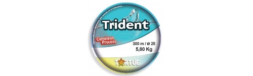 NYLON TORTUE RAGOT TRIDENT