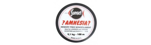 NYLON AMNESIA
